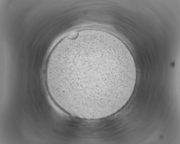 X0000116781531201001281643