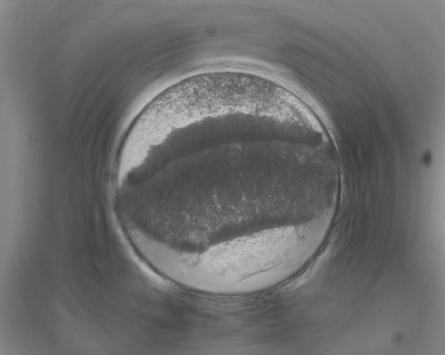 X0000116781533201001281643