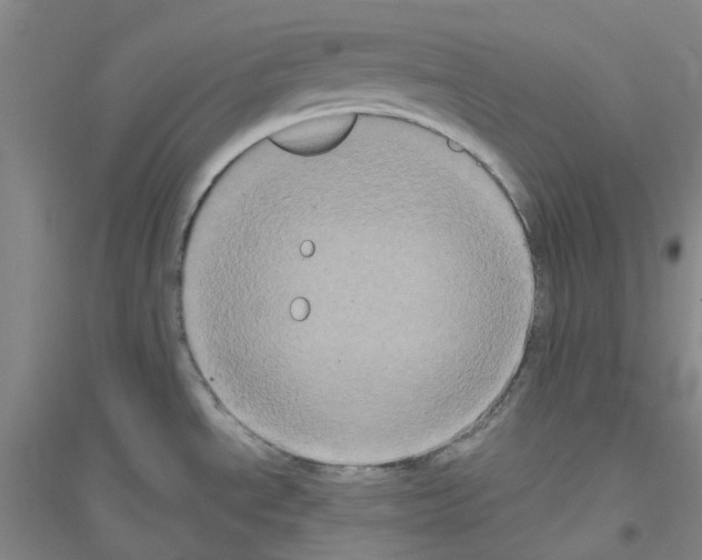 X0000116781534201001281643