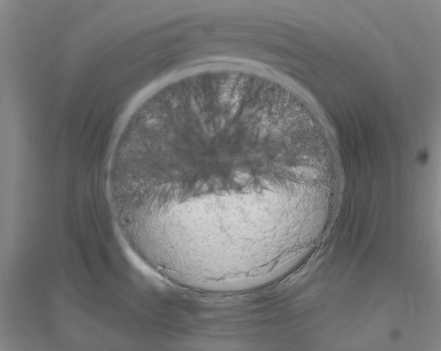 X0000116781535201001281643