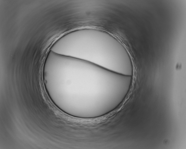 X0000116790001200912181105