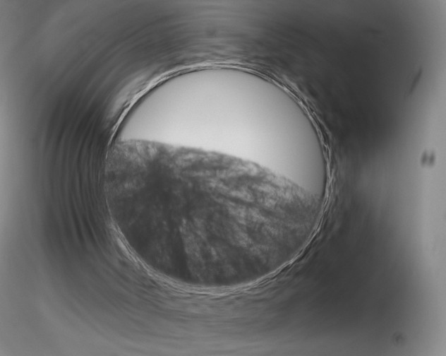 X0000116790002200912181105