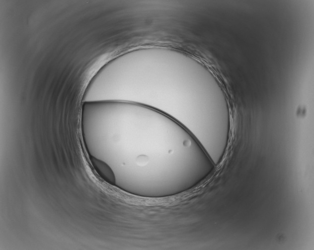 X0000116790003200912181105