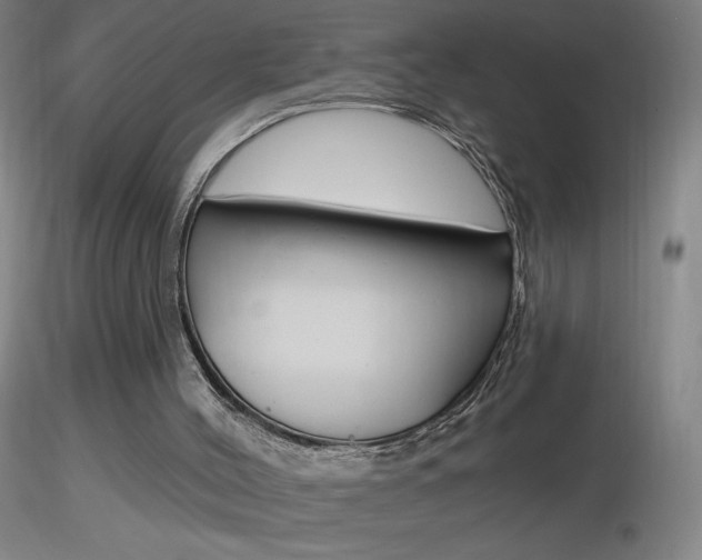X0000116790004200912181105