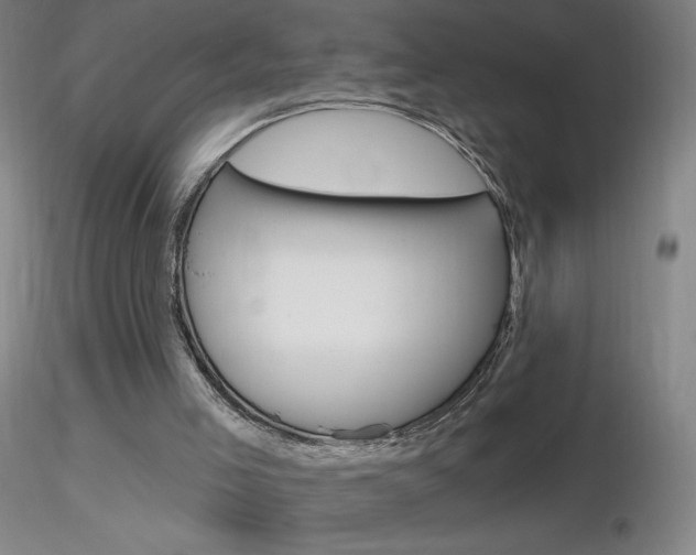 X0000116790005200912181105