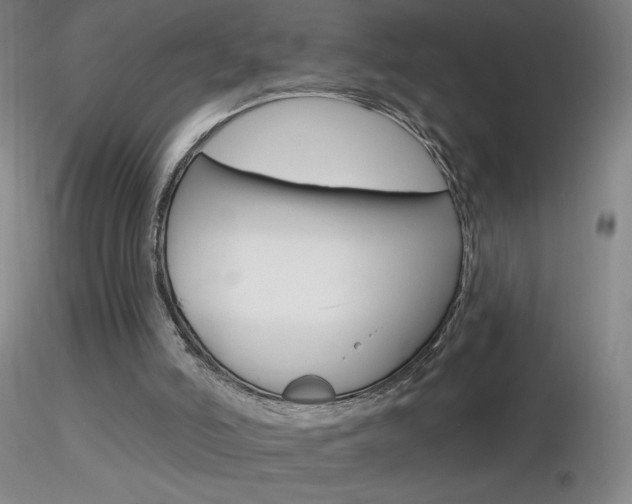 X0000116790006200912181105