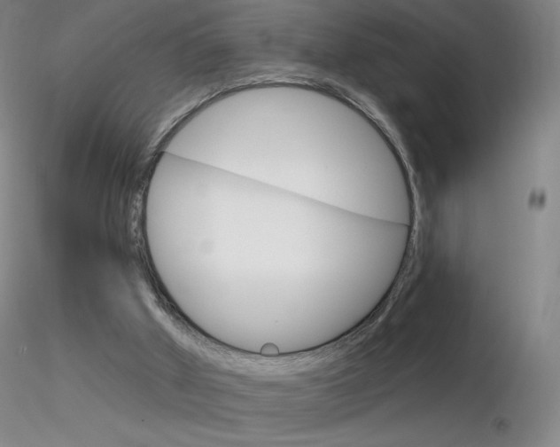X0000116790010200912181105