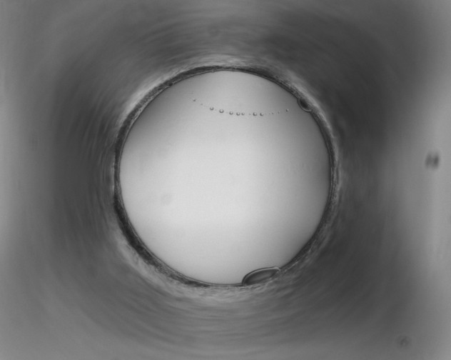 X0000116790011200912181105