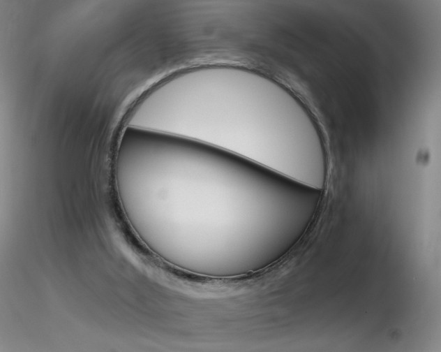 X0000116790012200912181105