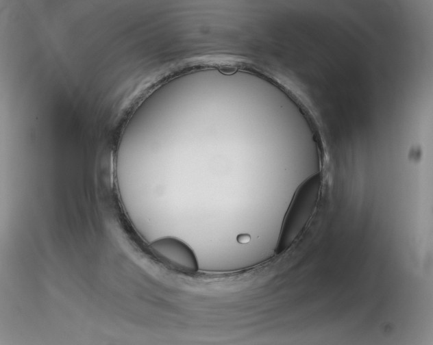 X0000116790013200912181105
