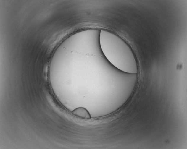 X0000116790014200912181105