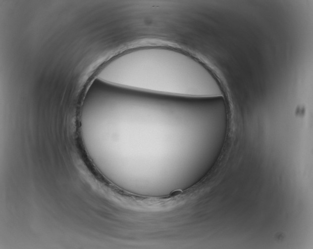 X0000116790015200912181105