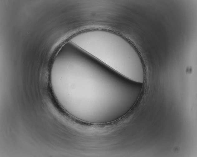 X0000116790016200912181105