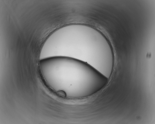 X0000116790017200912181105