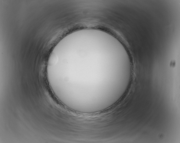 X0000116790018200912181105