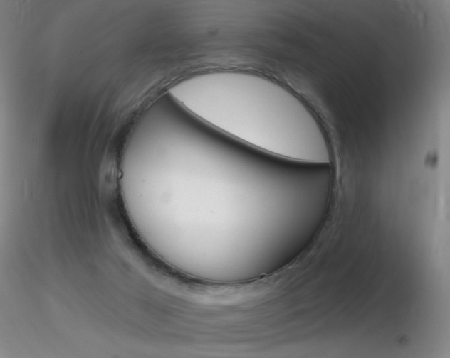 X0000116790021200912181105