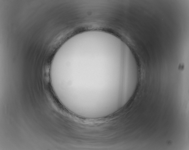 X0000116790022200912181105