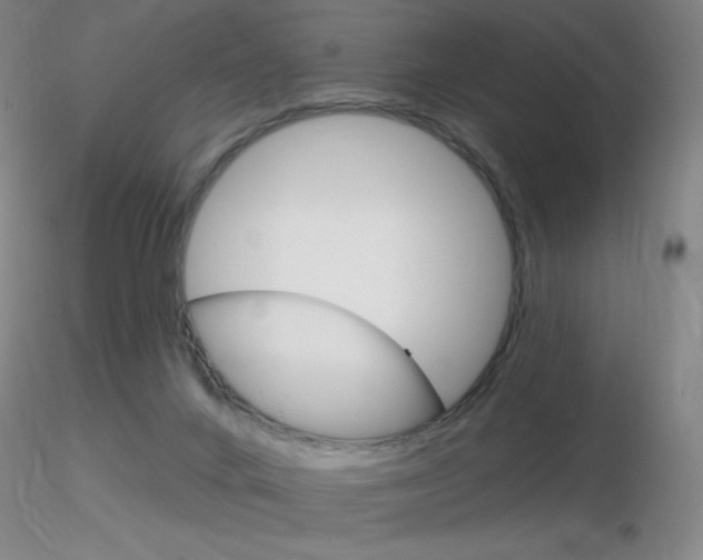 X0000116790024200912181105