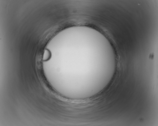 X0000116790026200912181105