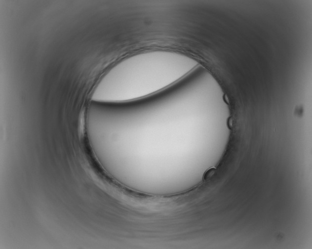 X0000116790028200912181105