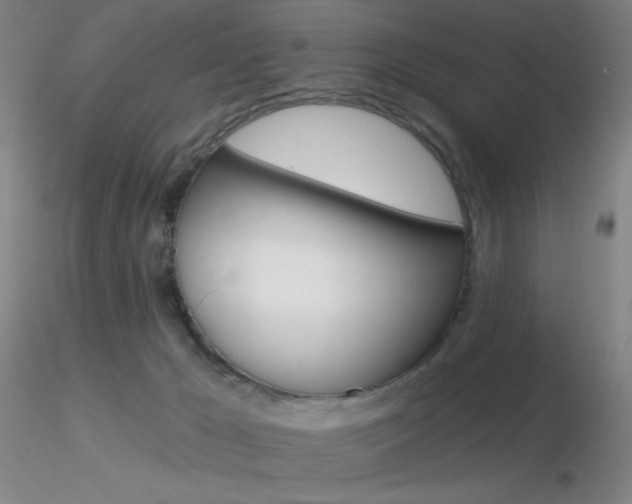 X0000116790029200912181105