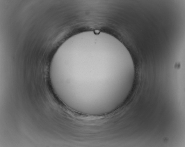 X0000116790032200912181105