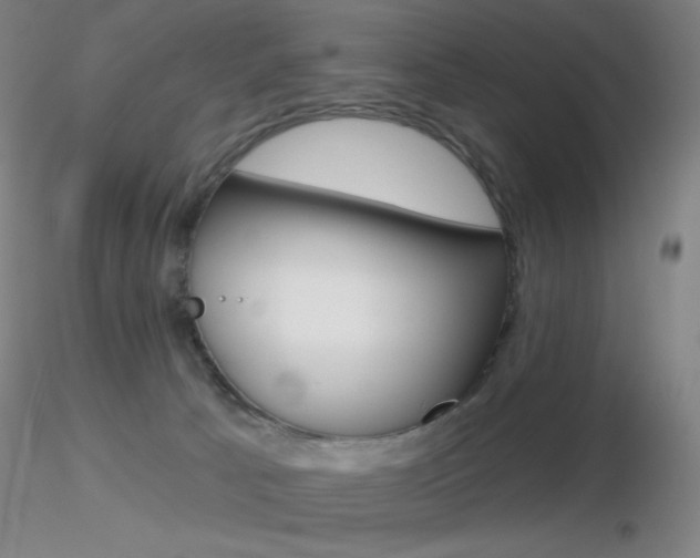 X0000116790033200912181105