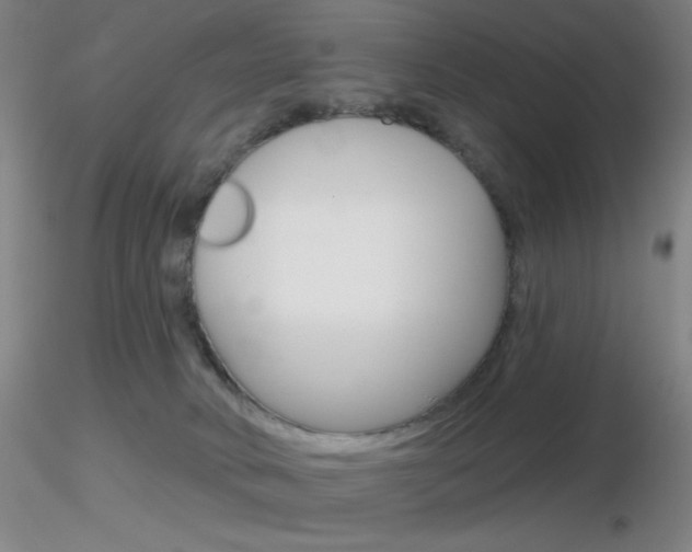 X0000116790034200912181105