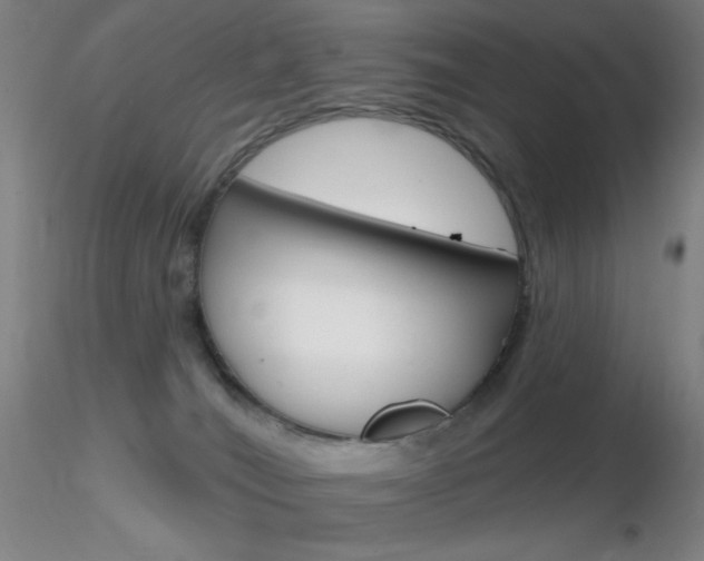 X0000116790036200912181105