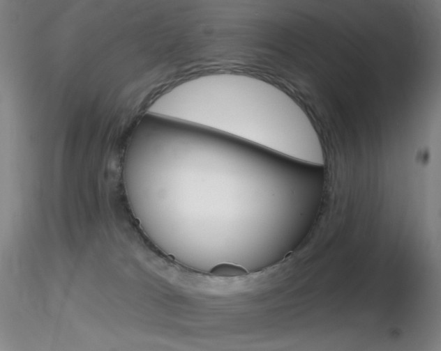 X0000116790037200912181105