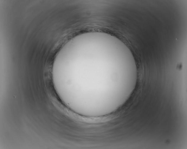 X0000116790038200912181105
