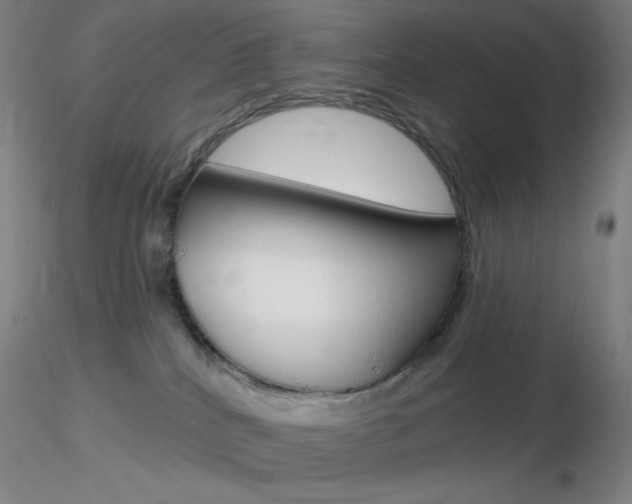 X0000116790040200912181105
