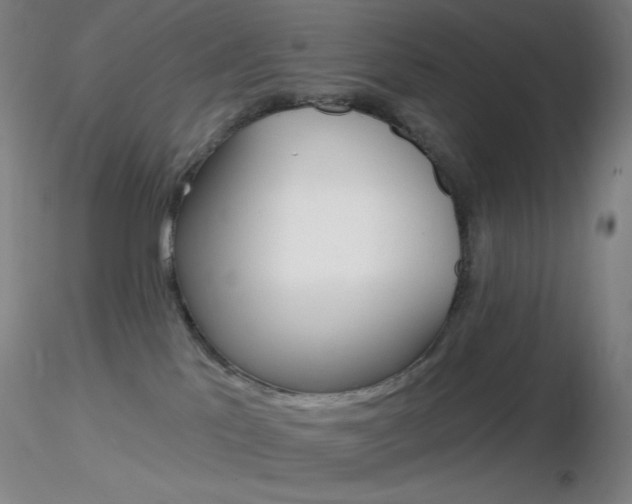 X0000116790041200912181105