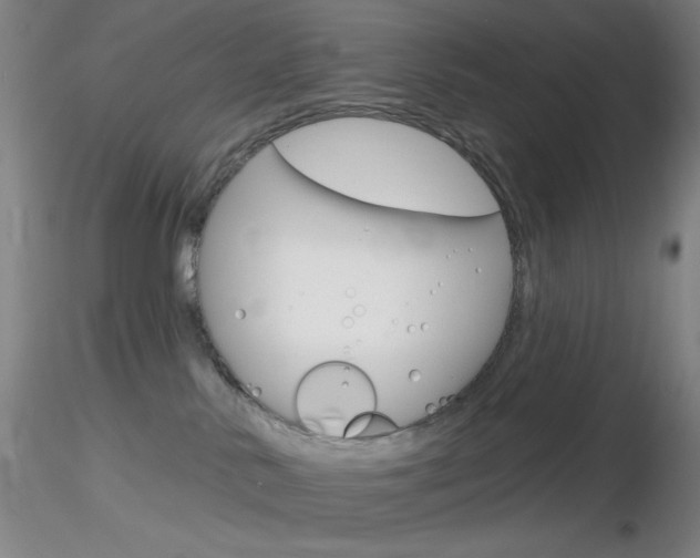 X0000116790042200912181105