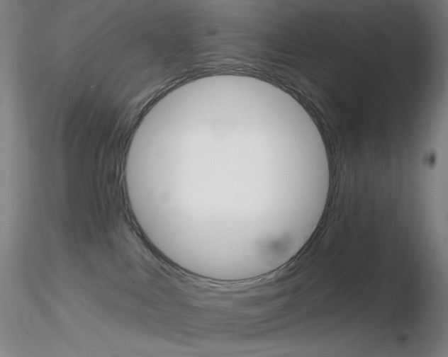 X0000116790043200912181105