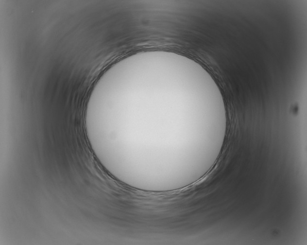 X0000116790045200912181105