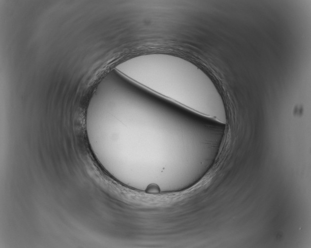 X0000116790048200912181105