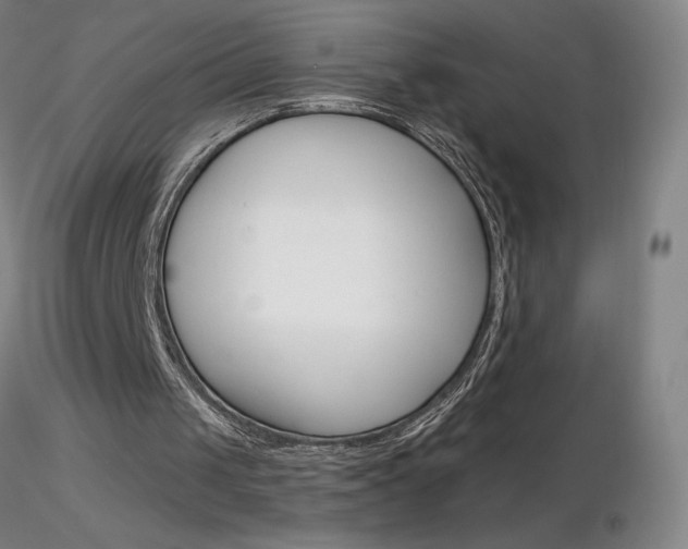 X0000116790049200912181104
