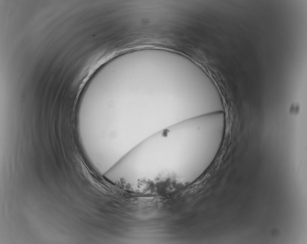 X0000116790050200912181104