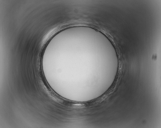 X0000116790053200912181104