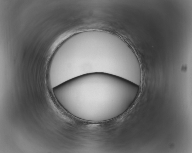 X0000116790054200912181104