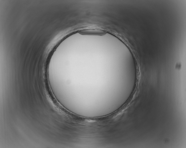 X0000116790055200912181104