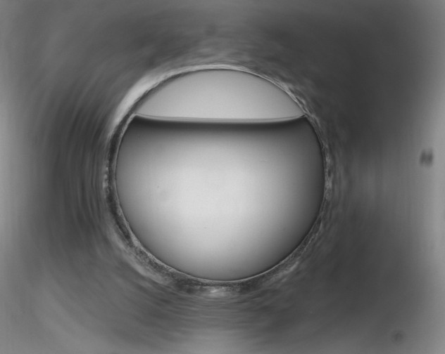 X0000116790056200912181104