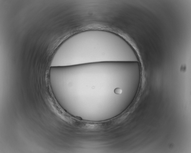 X0000116790057200912181104