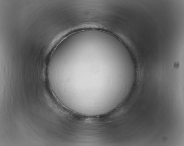 X0000116790064200912181104
