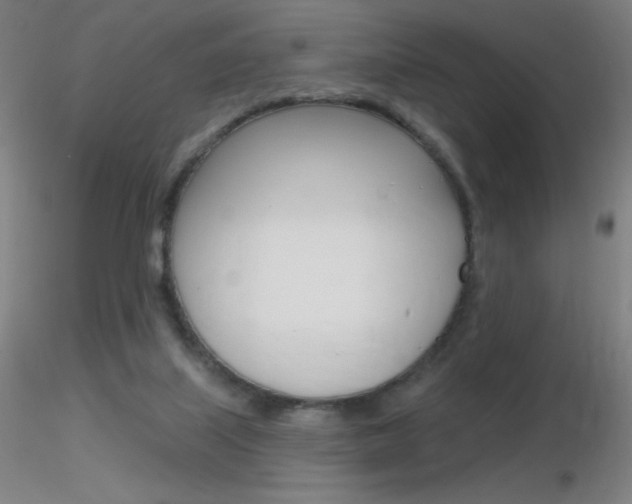 X0000116790067200912181104