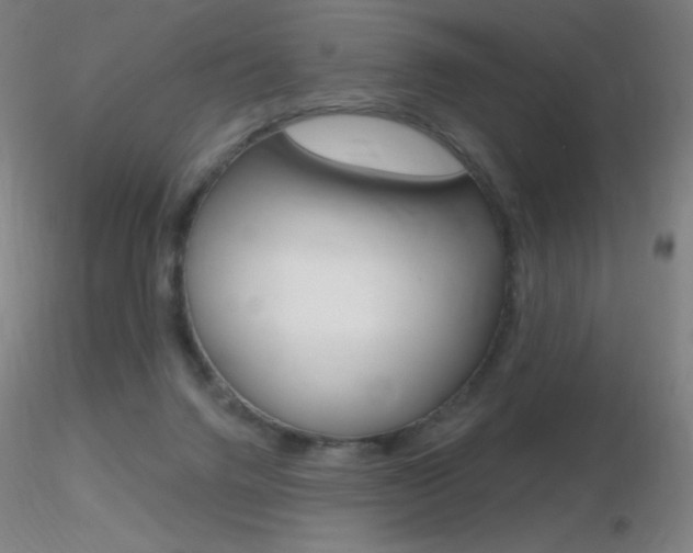 X0000116790072200912181104