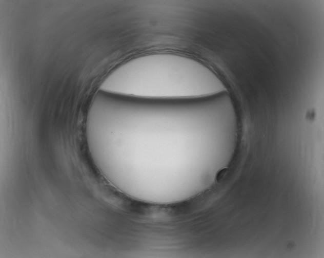 X0000116790073200912181104