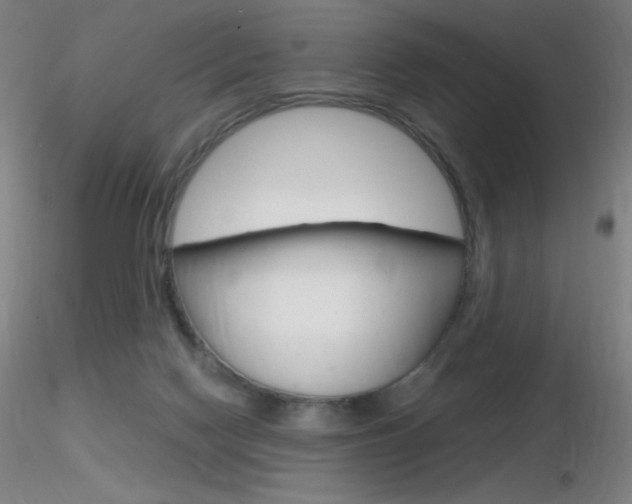 X0000116790074200912181104