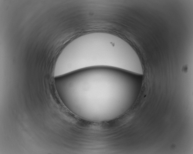 X0000116790076200912181104